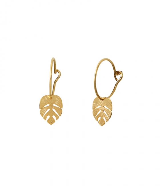Palm