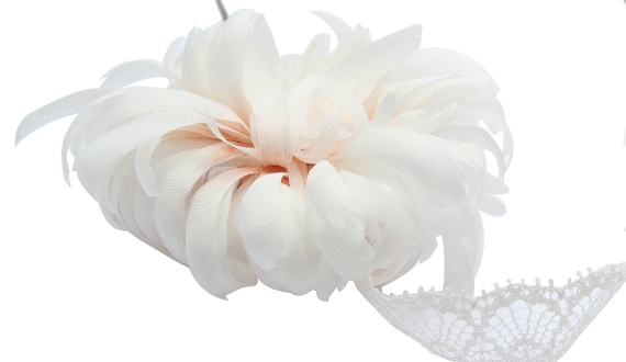 Dahlia