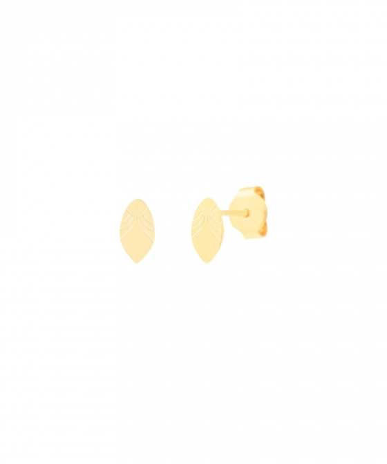 Heart Bird