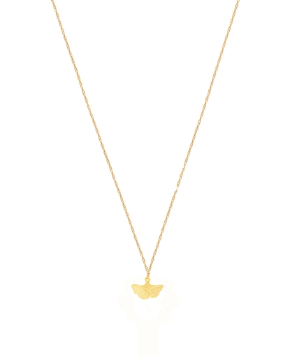 Ginko