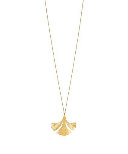 Ginko