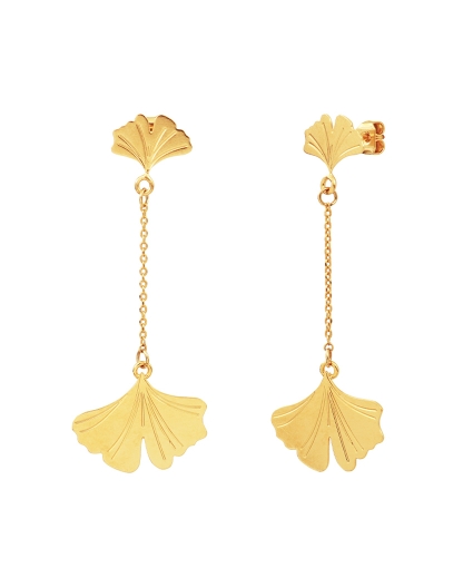Ginkgo