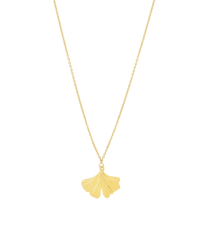 Ginkgo