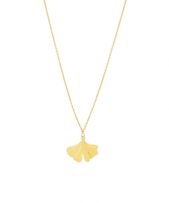 Ginkgo