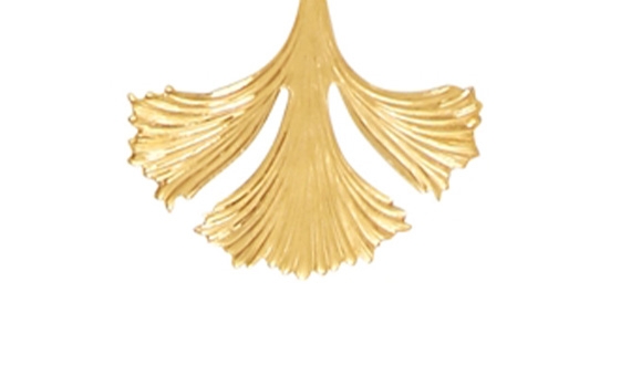 Ginko